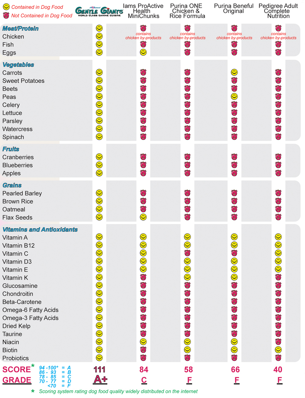 Dog Food Conversion Chart